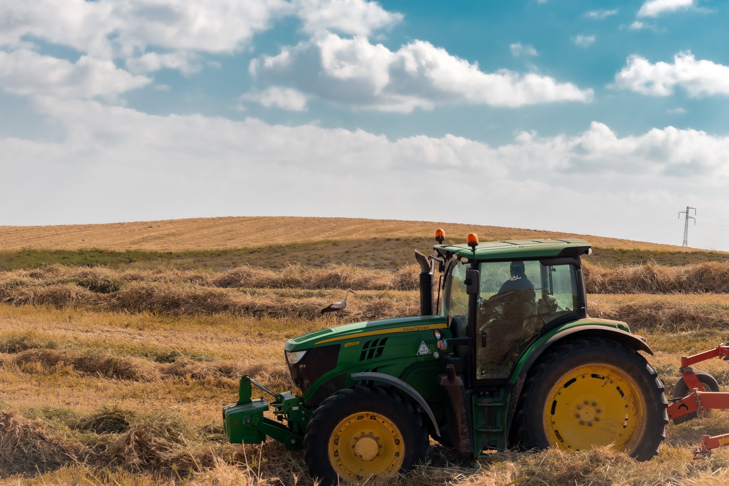 Green Tractor on Hayfield